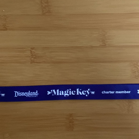 NWOT Disney magic key pass holders 2021 charter welcome bundle - Picture 5 of 6